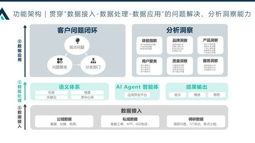 某頭部合資車集團 客戶之聲數據洞察及聚類派單項目
